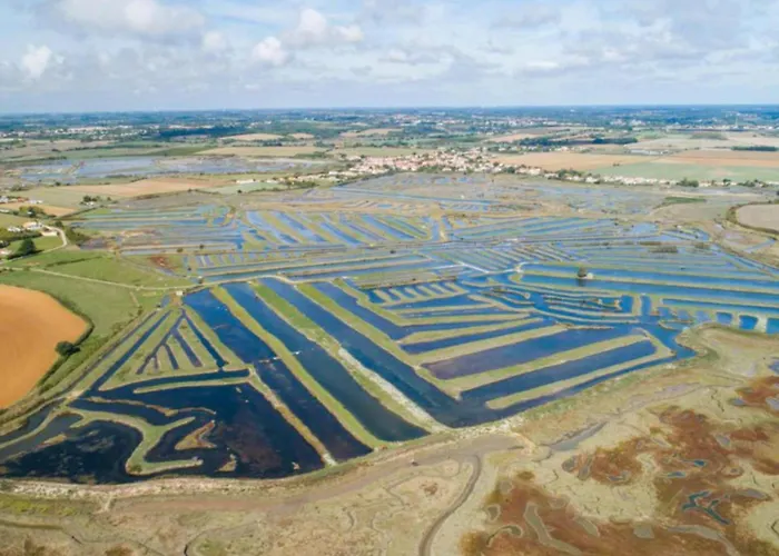 Vakantiehuis New House With Garden - Near Jard-sur-Mer